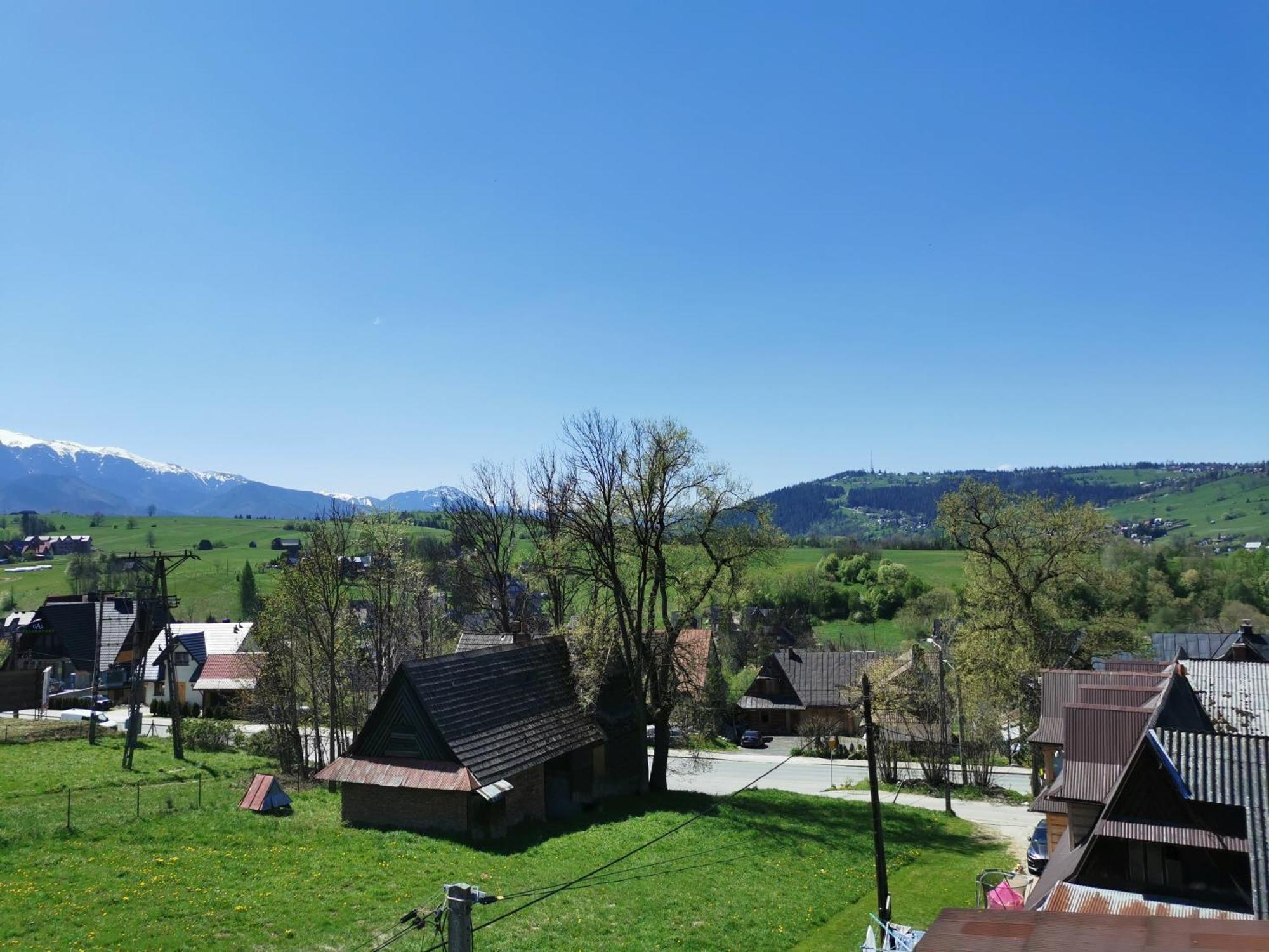 Czarny Jelen Apartment Zakopane Bagian luar foto